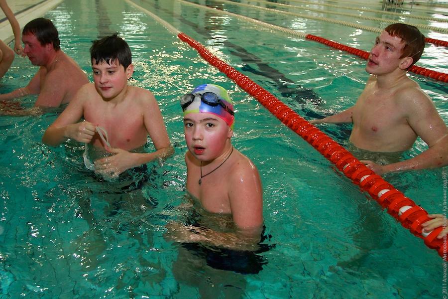 "Лось Маша и прочая законная агитация": фоторепортаж "Нового Калининграда.Ru"